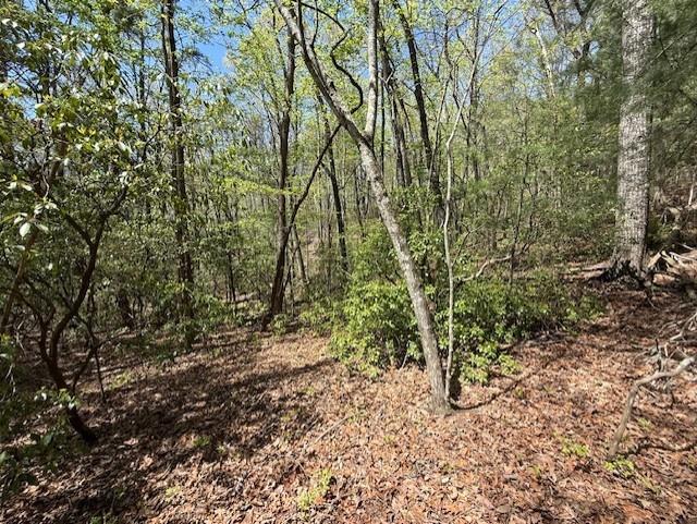 Lot 9 Marjorie Ellijay GA 30536