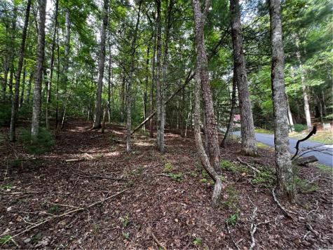 9 Dover Falls Trail Ellijay GA 30540