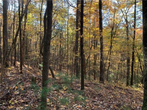 9 Dover Falls Trail Ellijay GA 30540