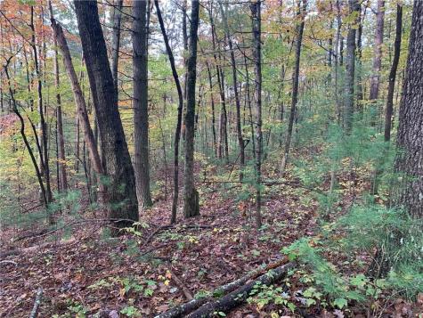 9 Dover Falls Trail Ellijay GA 30540