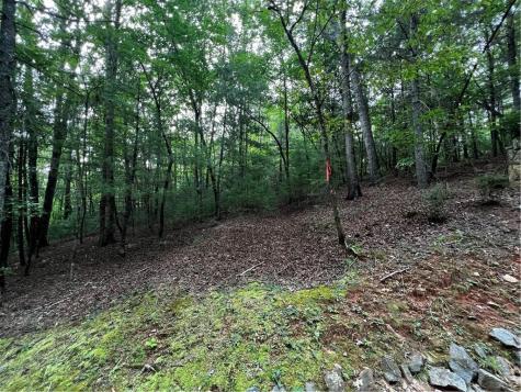 9 Dover Falls Trail Ellijay GA 30540
