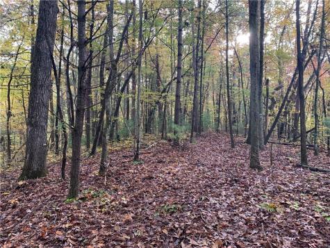 9 Dover Falls Trail Ellijay GA 30540