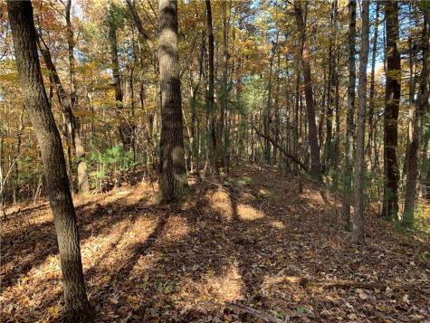 9 Dover Falls Trail Ellijay GA 30540