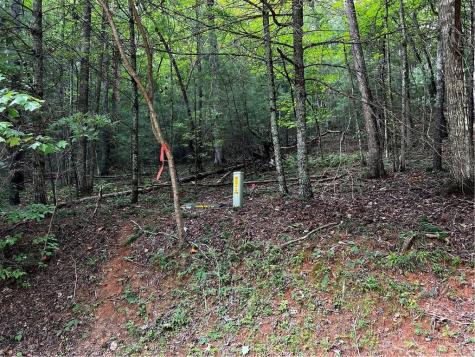 9 Dover Falls Trail Ellijay GA 30540