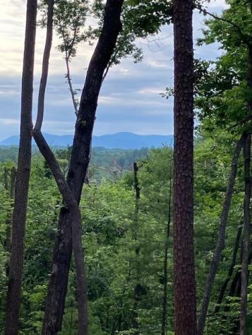 Lt 132 Red Oak Trail Ellijay GA 30540