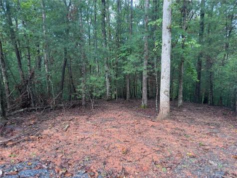 204 Hart Court Ellijay GA 30540