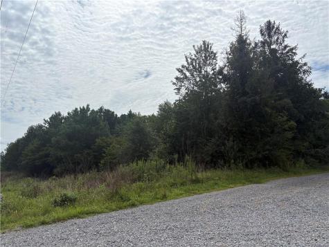 0 Fauna/john Wayne Mineral Bluff GA 30559