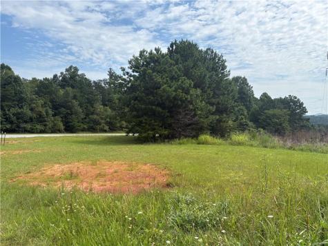 0 Fauna/john Wayne Mineral Bluff GA 30559