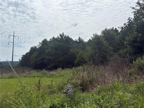 0 Fauna/john Wayne Mineral Bluff GA 30559