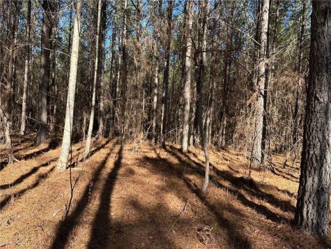 1107 Larmon Forks Road Dahlonega GA 30533
