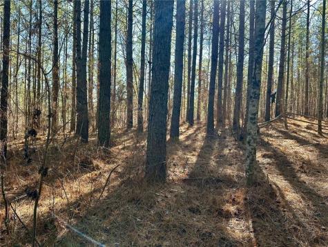 1107 Larmon Forks Road Dahlonega GA 30533