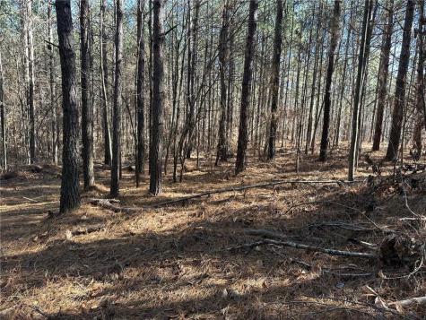 1107 Larmon Forks Road Dahlonega GA 30533