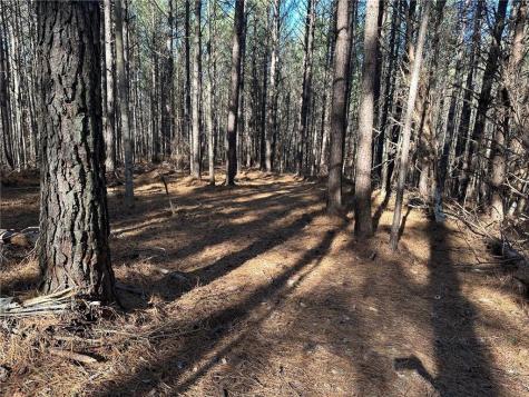 1107 Larmon Forks Road Dahlonega GA 30533