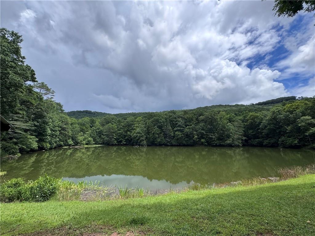 0 Owltown Road Ellijay GA 30536