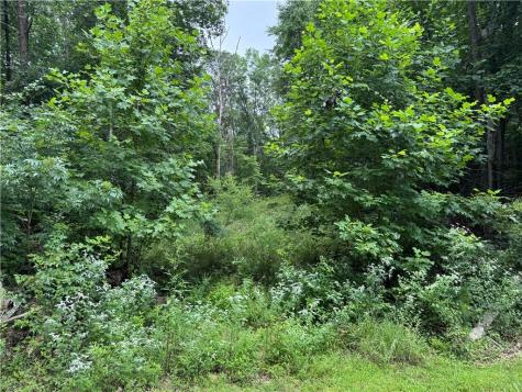 0 Owltown Road Ellijay GA 30536