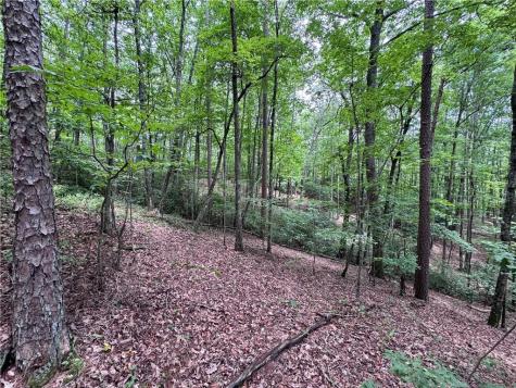 0 Owltown Road Ellijay GA 30536