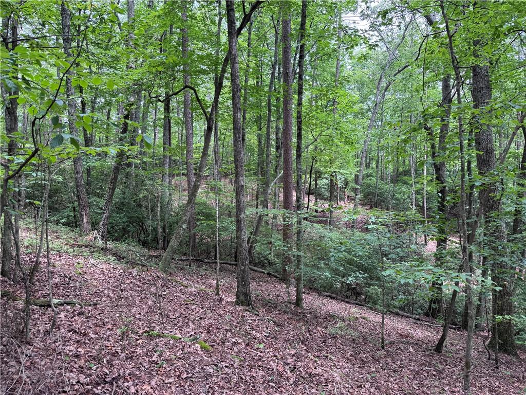 0 Owltown Road Ellijay GA 30536