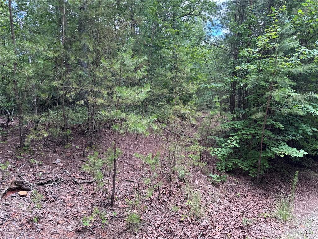 0 Owltown Road Ellijay GA 30536