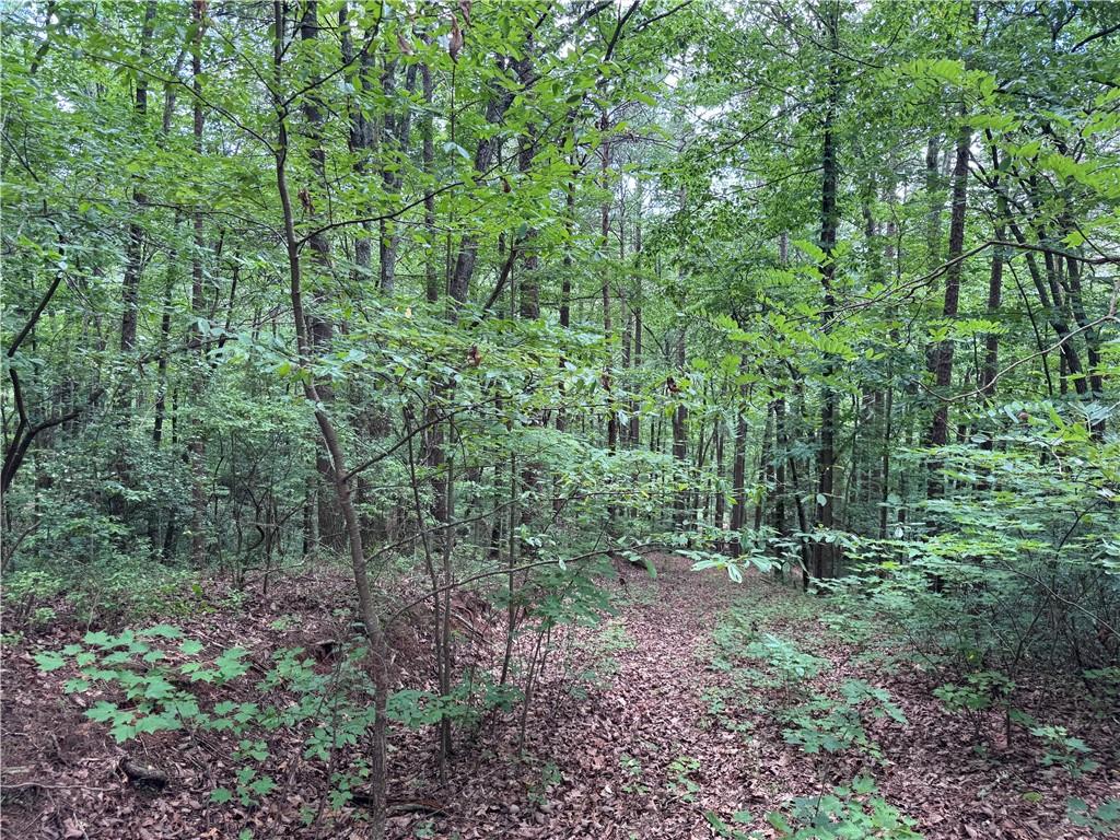 0 Owltown Road Ellijay GA 30536