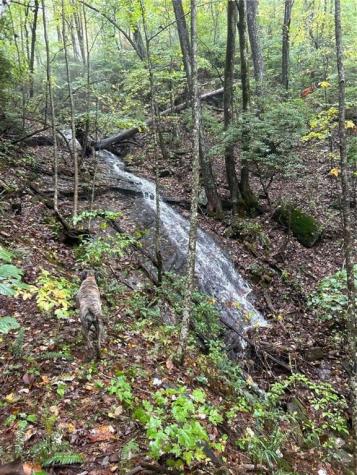 1298 Cold Stream Trail Jasper GA 30143