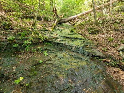 1298 Cold Stream Trail Jasper GA 30143