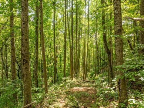 1298 Cold Stream Trail Jasper GA 30143