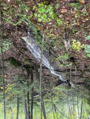 1298 Cold Stream Trail Jasper GA 30143