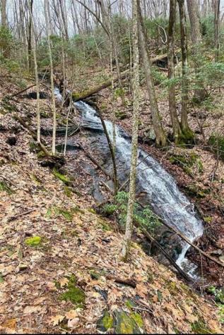 1298 Cold Stream Trail Jasper GA 30143