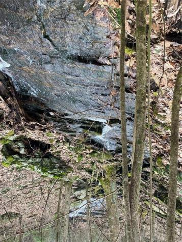 1298 Cold Stream Trail Jasper GA 30143