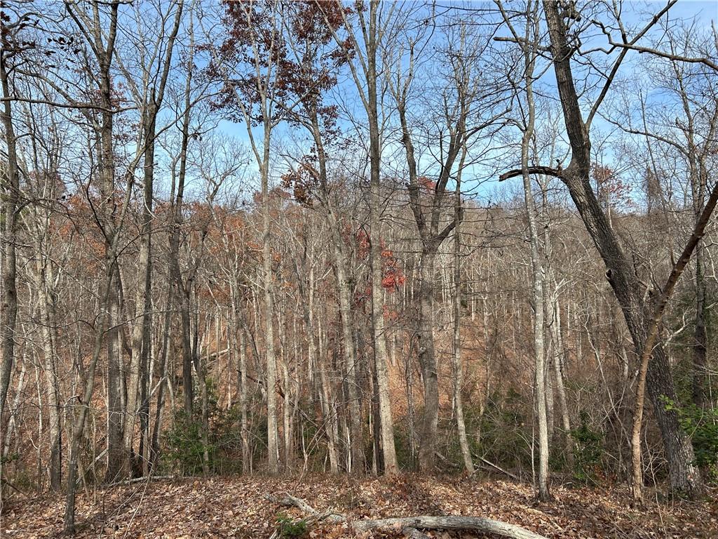 0 Highway 105 Baldwin GA 30511