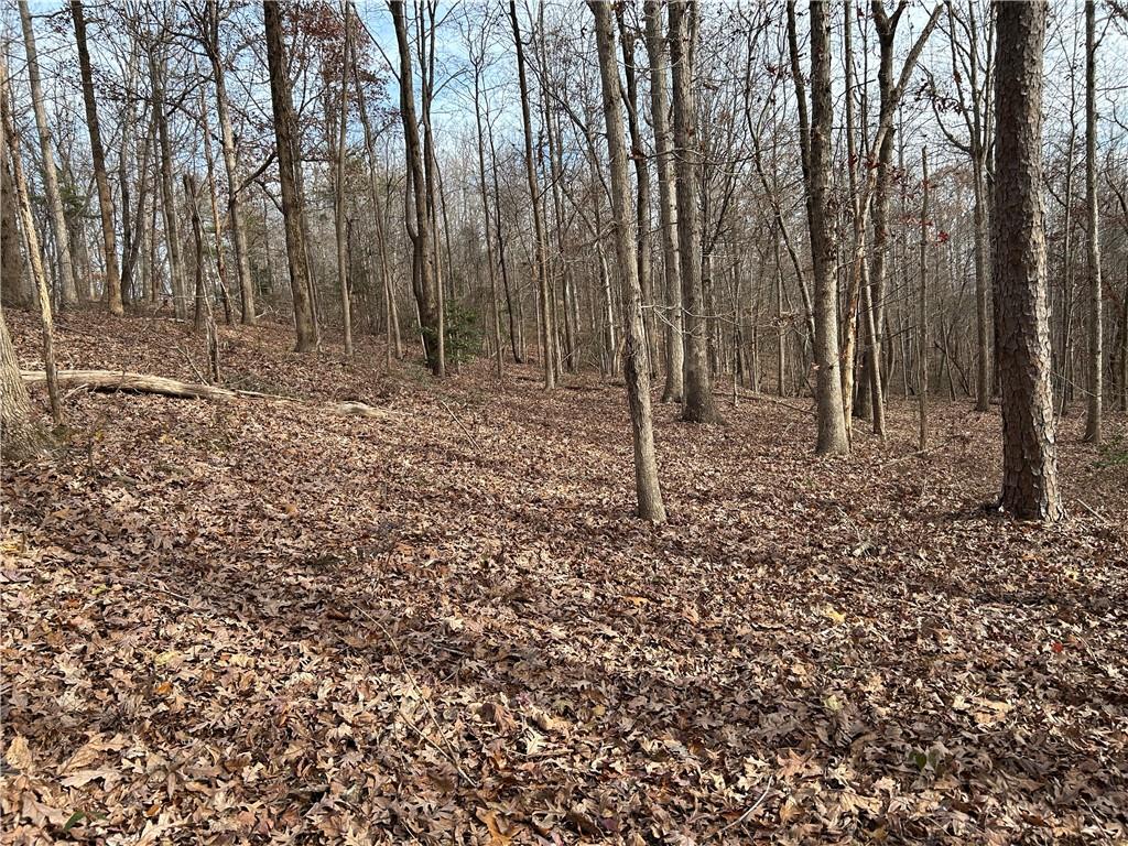 0 Highway 105 Baldwin GA 30511