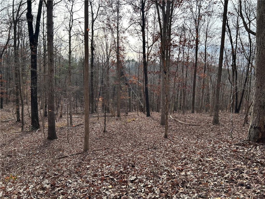 0 Highway 105 Baldwin GA 30511