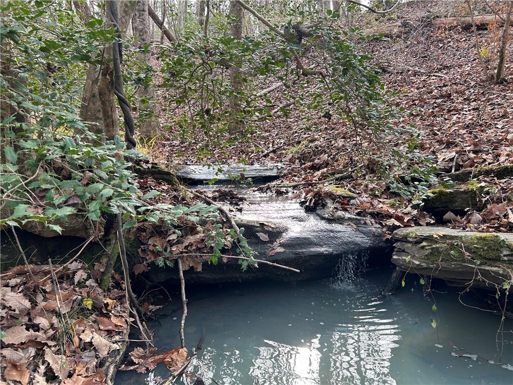 0 Highway 105 Baldwin GA 30511
