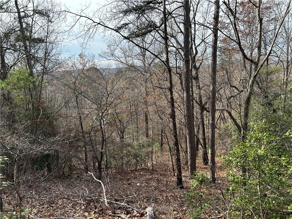 0 Highway 105 Baldwin GA 30511