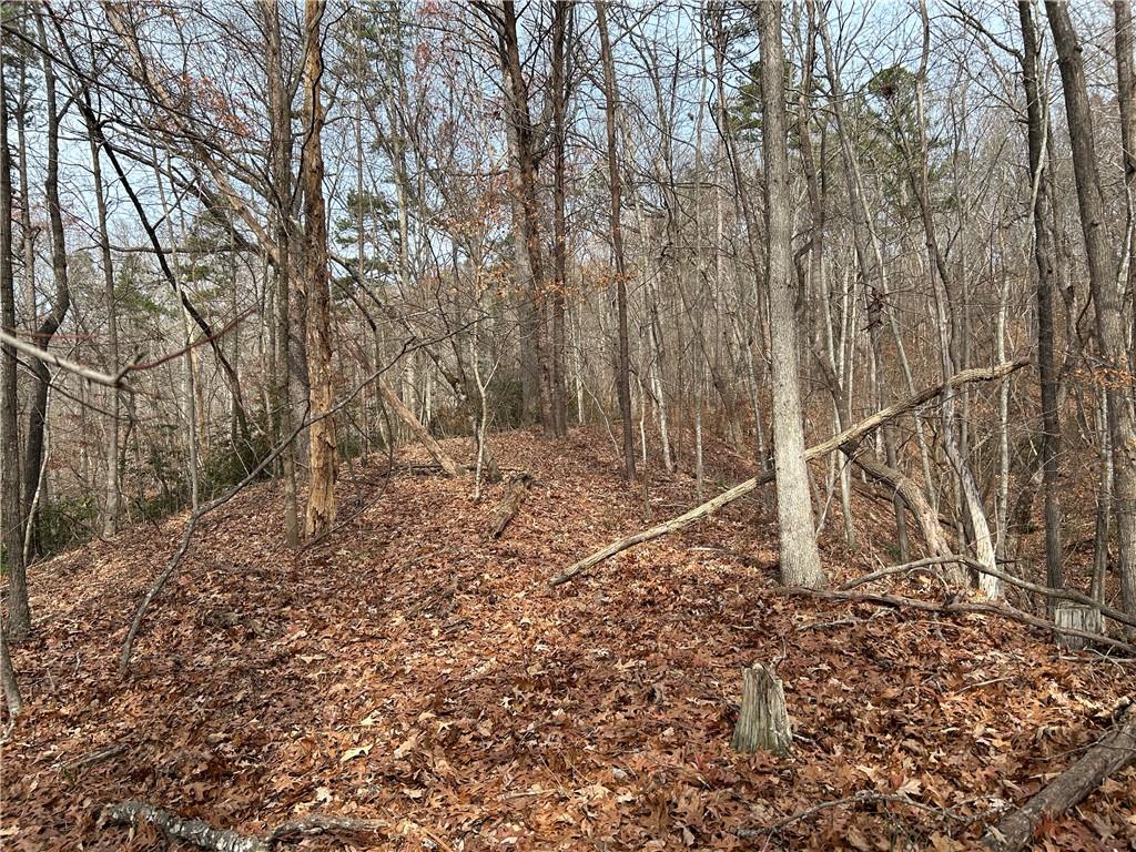 0 Highway 105 Baldwin GA 30511