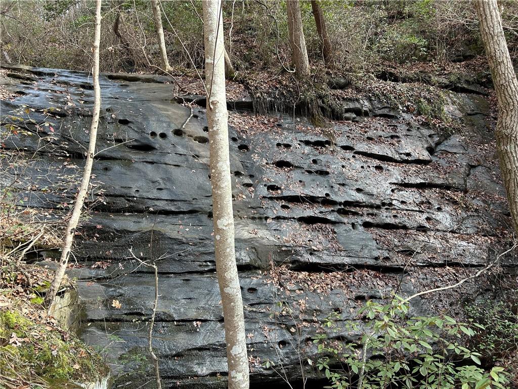 0 Highway 105 Baldwin GA 30511