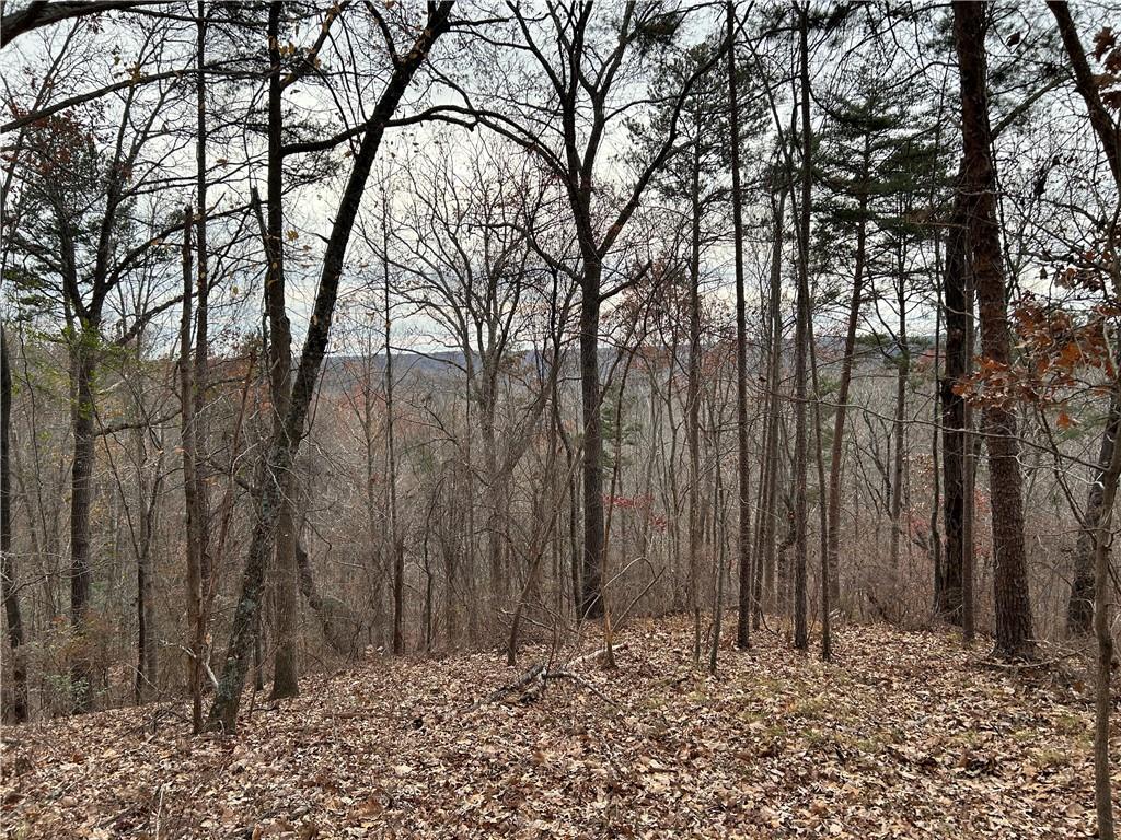 0 Highway 105 Baldwin GA 30511
