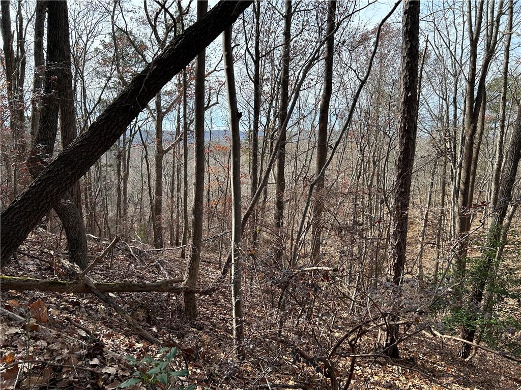 0 Highway 105 Baldwin GA 30511