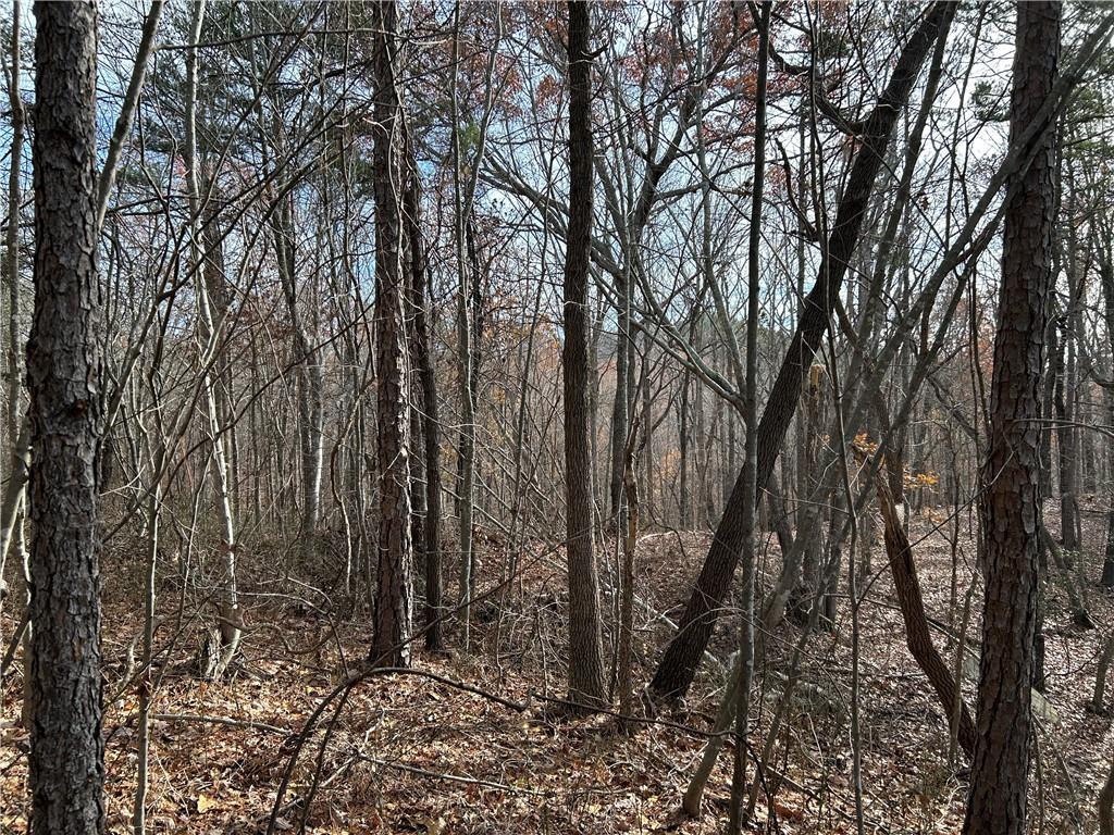 0 Highway 105 Baldwin GA 30511