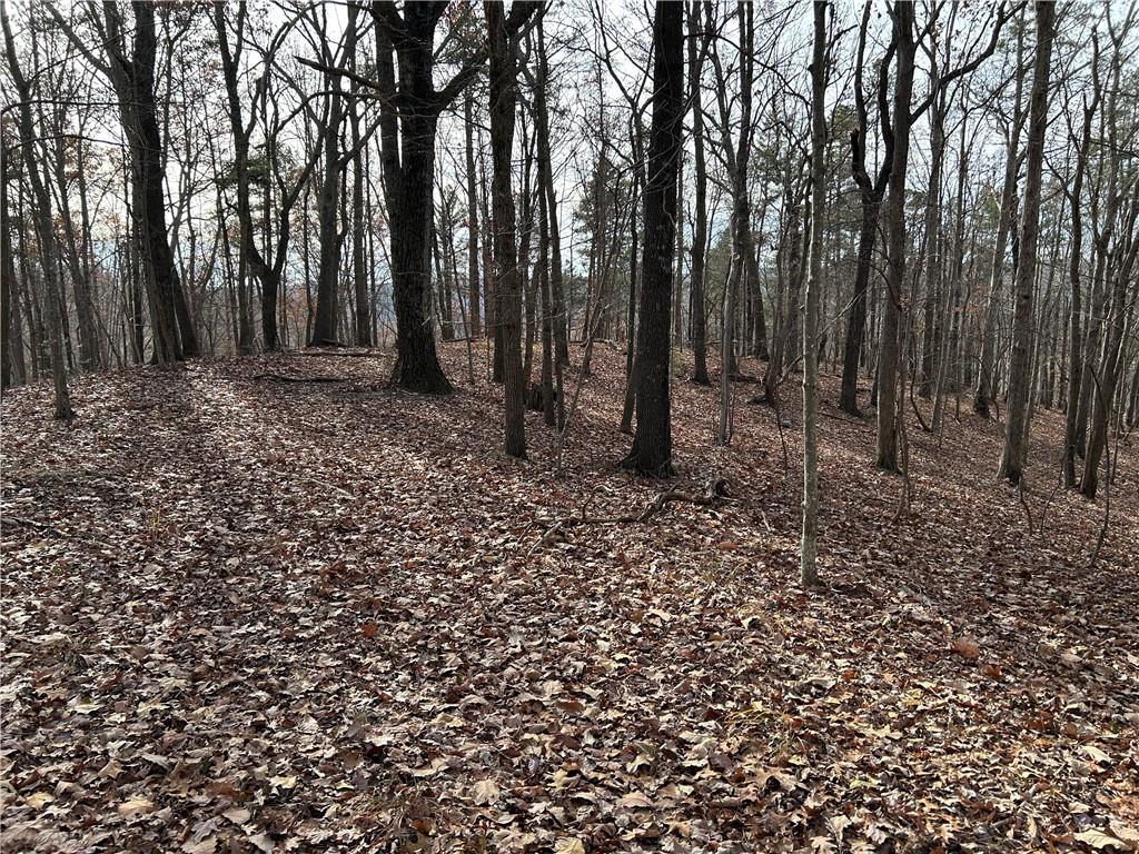 0 Highway 105 Baldwin GA 30511