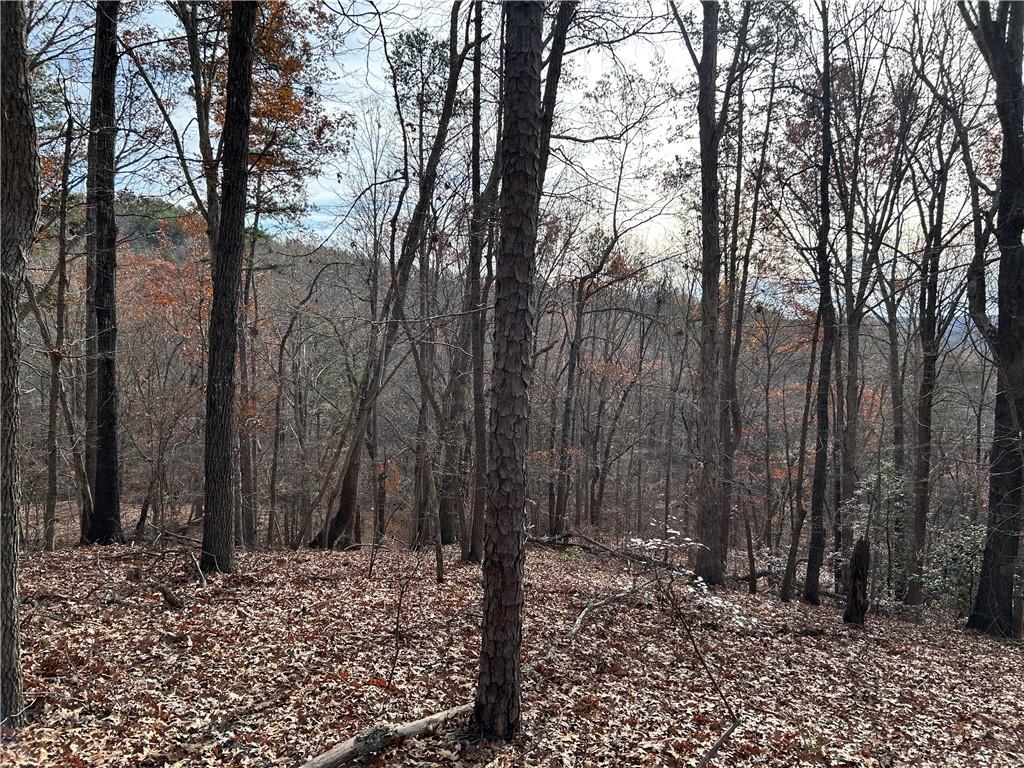 0 Highway 105 Baldwin GA 30511