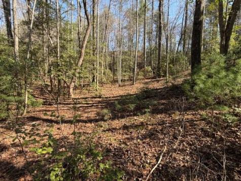 0 Black Falls Road Dahlonega GA 30533