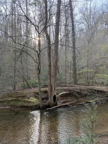 0 Black Falls Road Dahlonega GA 30533
