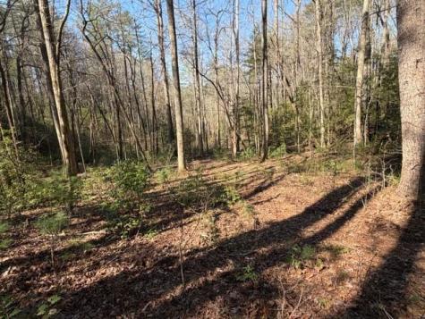 0 Black Falls Road Dahlonega GA 30533