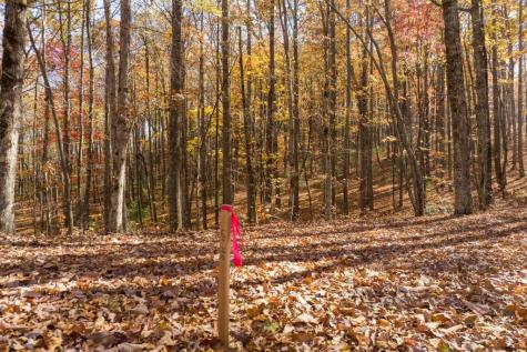 19R Settlement Trail Ellijay GA 30536