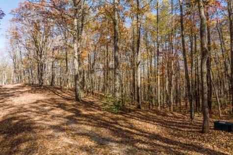 19R Settlement Trail Ellijay GA 30536