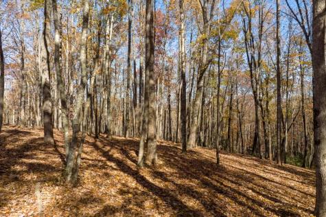 19R Settlement Trail Ellijay GA 30536