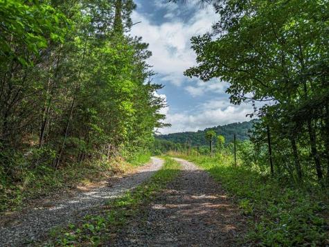 541 Pleasant Hill Road Copperhill TN 37317
