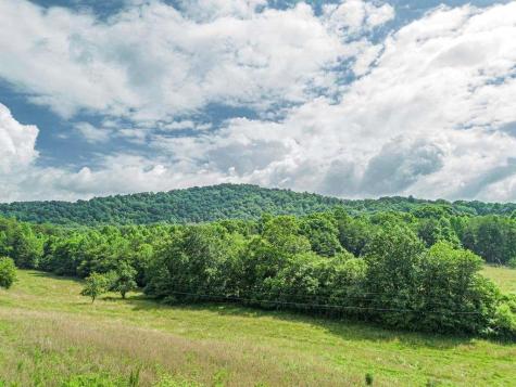 541 Pleasant Hill Road Copperhill TN 37317
