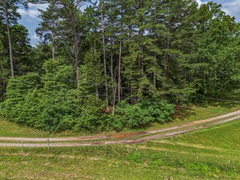 541 Pleasant Hill Road Copperhill TN 37317